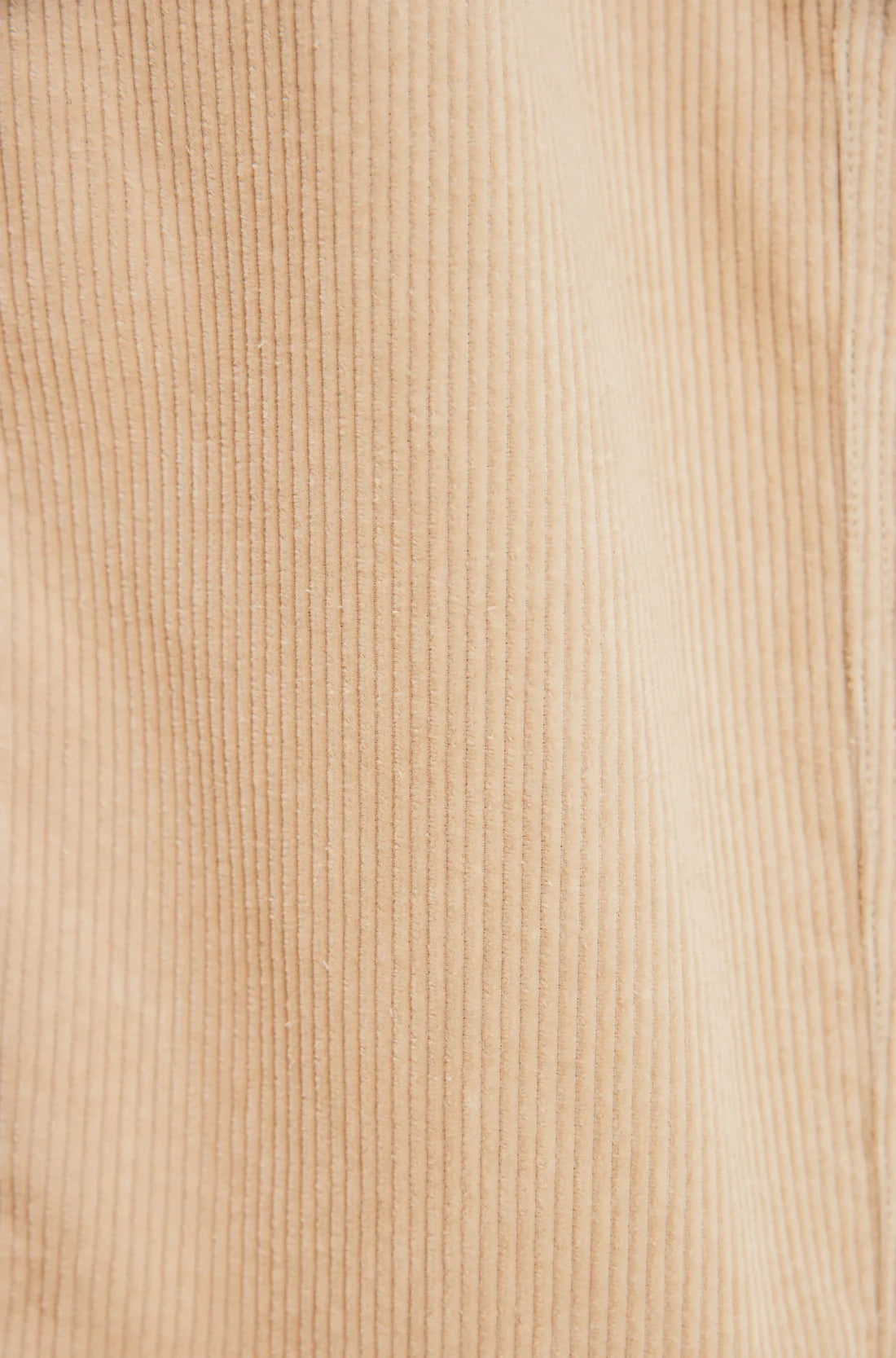 OTTWAY THE LABEL DAYTON PANT IN CREAM CORD in CREAM CORD — view 4