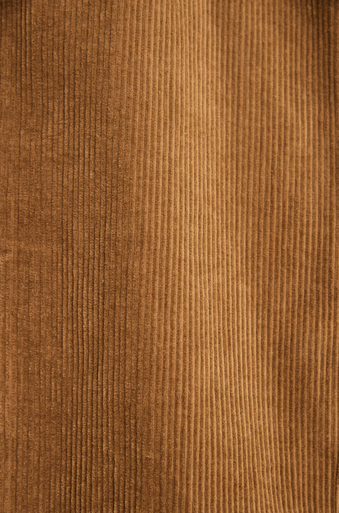 OTTWAY THE LABEL DAYTON PANT IN BROWN CORD in BROWN CORD — view 3