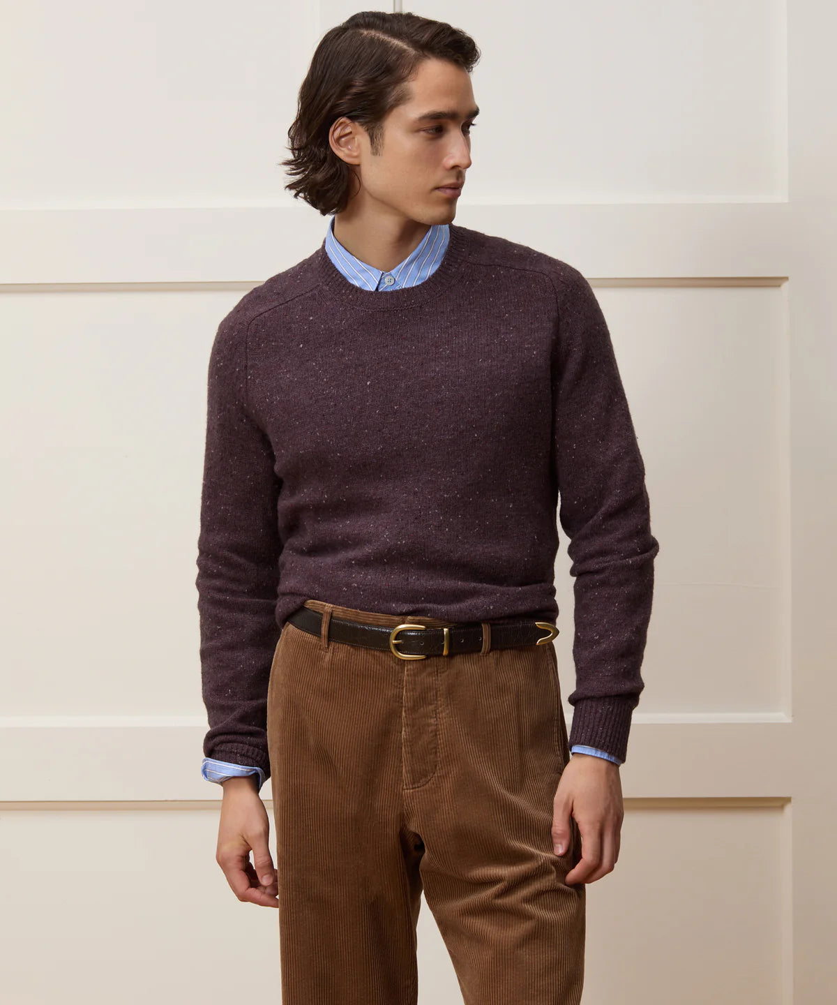 TODD SNYDER DONEGAL CREWNECK IN MINK in MINK — view 2