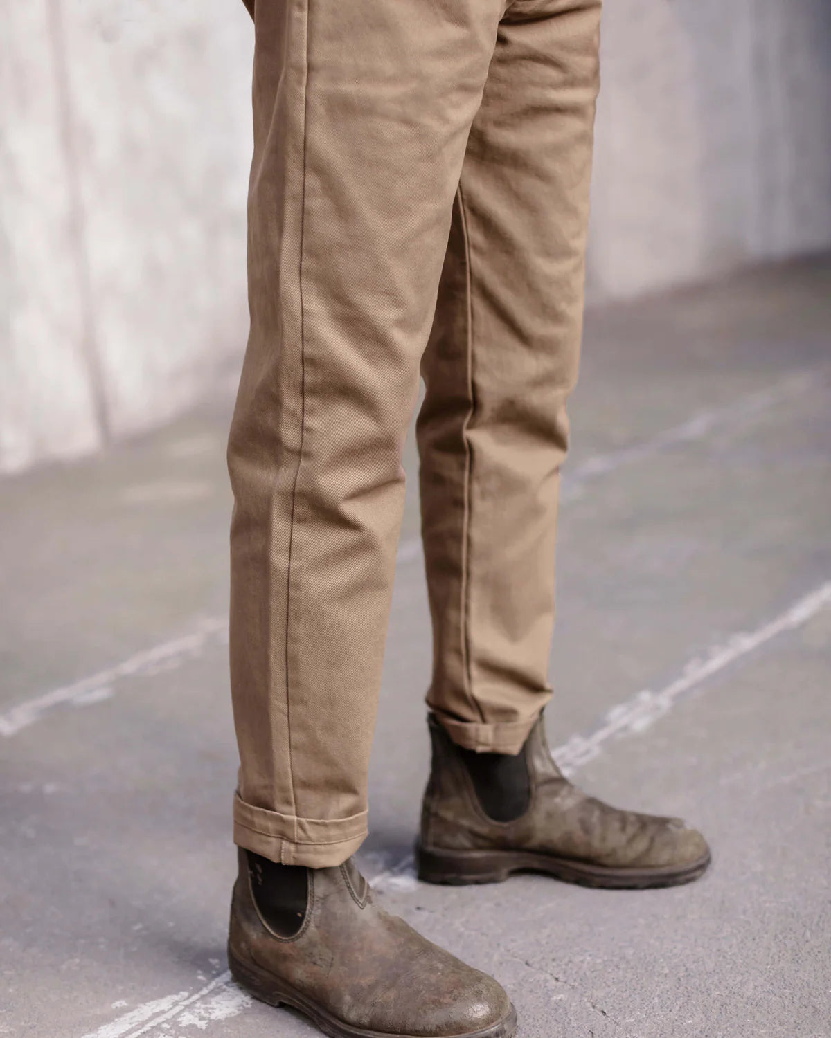 ALEX CRANE CANVAS CHAM PANTS IN CHAI in CHAI — view 2